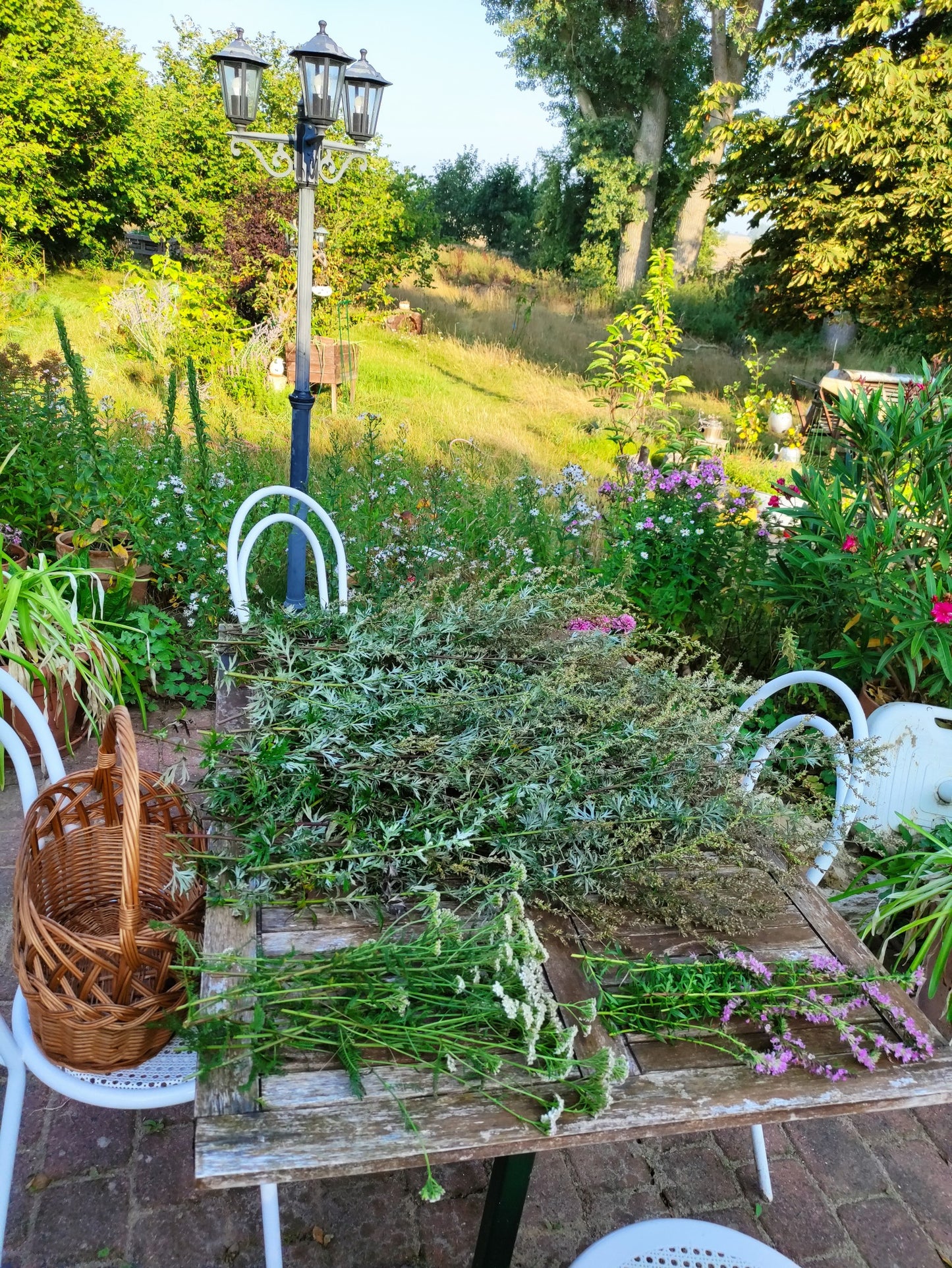 Räucherbündel "Lavendel", in der Umgebung des KULTURGUTLEBEN